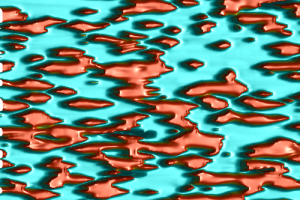 Simulated Everglades ridge and slough landscape. Ridges are red, and sloughs are blue.