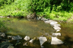 Boulder cross-vane at Accotink Creek, VA. This structure is commonly used in the natural channel design method of stream restoration.