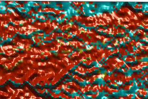 Simulation of a floodplain with multithreaded channels and vegetation. Red color is proportional to vegetation density.