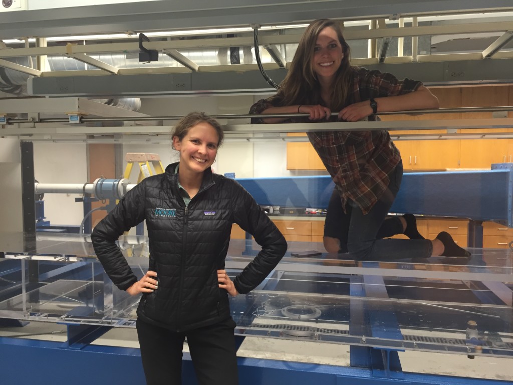 Dr. Larsen and Aaron Hurst by (and in) the newly installed Ecogeomorphology flume