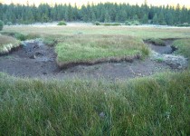 Dry meander bend in wet meadow restoration project, CA.