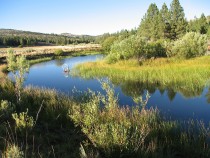 Example of pond-and-plug restoration of wet meadows, Plumas National Forest, CA.