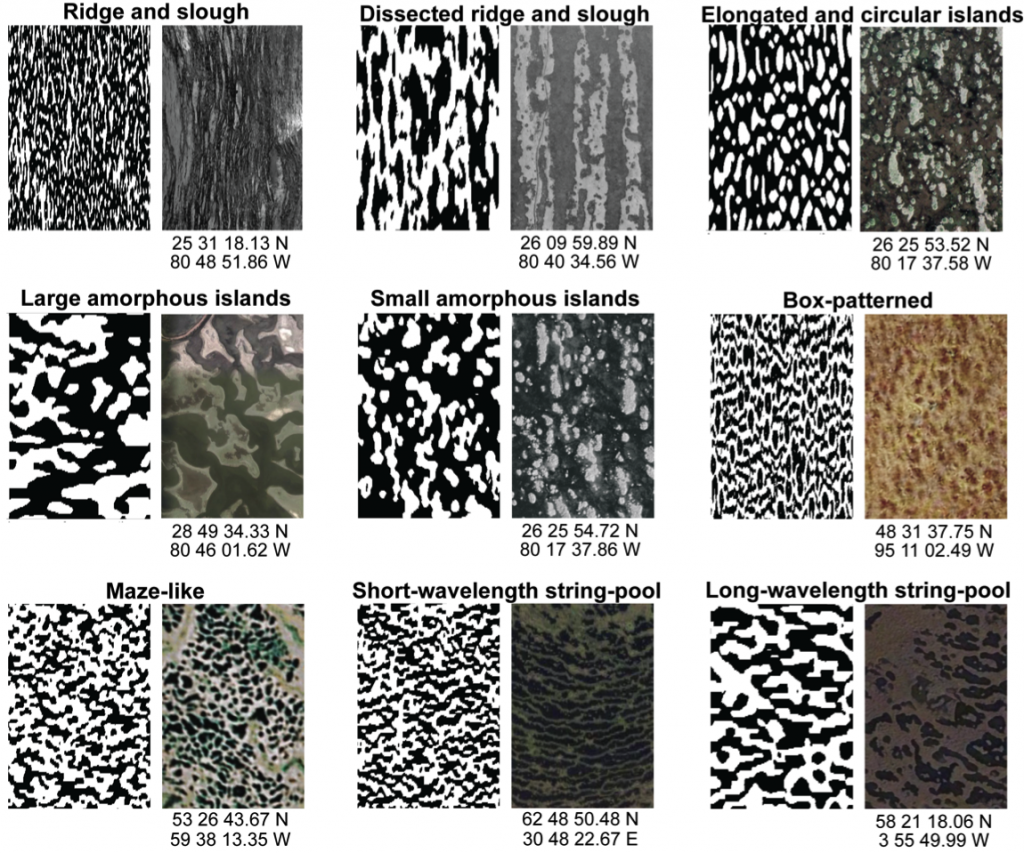 Diversity of landscape morphologies arising from a modeled set of hydroecological feedback mechanisms. Click on the image to learn more.