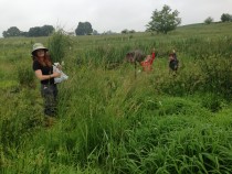 Danielle Watts, Kayla Schulte, and Aaron Blair collect clip plots at Big Spring Run